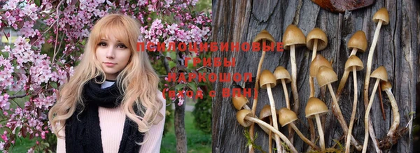 твердый Белоозёрский